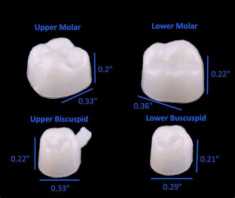 temporary crown price